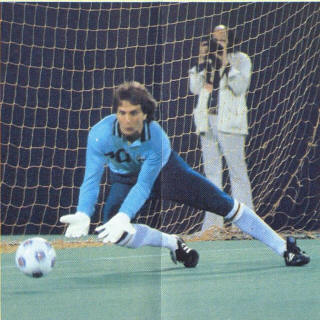 NASL Soccer New York Cosmos 78-79 Goalie David Brcic